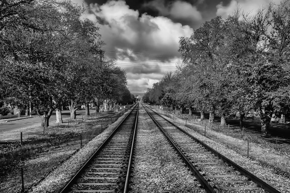 Train.Orchard.JohnnyJones